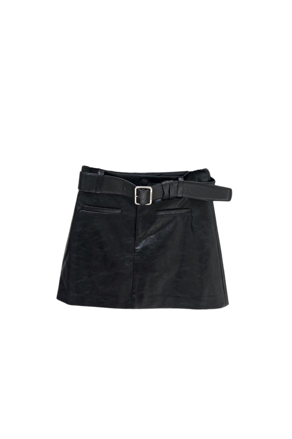 Raven Faux Leather Mini Skirt